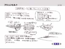 銀河英雄伝説4Ⅳ EX 大型紙箱版（マニュアル増量）の+blumen-am